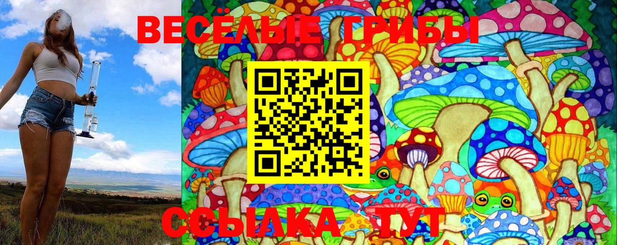 Кимры  Псилоцибиновые грибы Cubensis  как найти   Вход с VPN  Псилоцибиновые грибы Psilocybe 